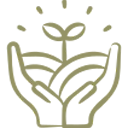 Diseño y Desarrollo de Plantas Agroindustriales